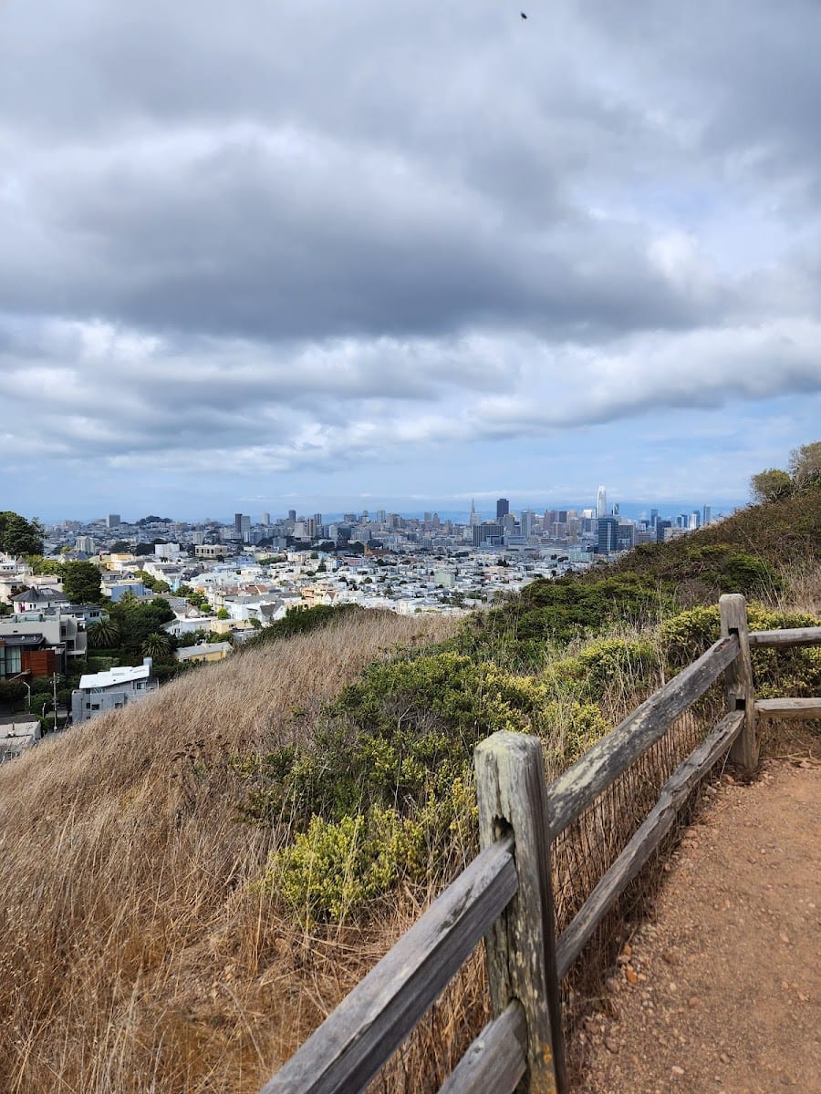 Corona Heights Dog Run