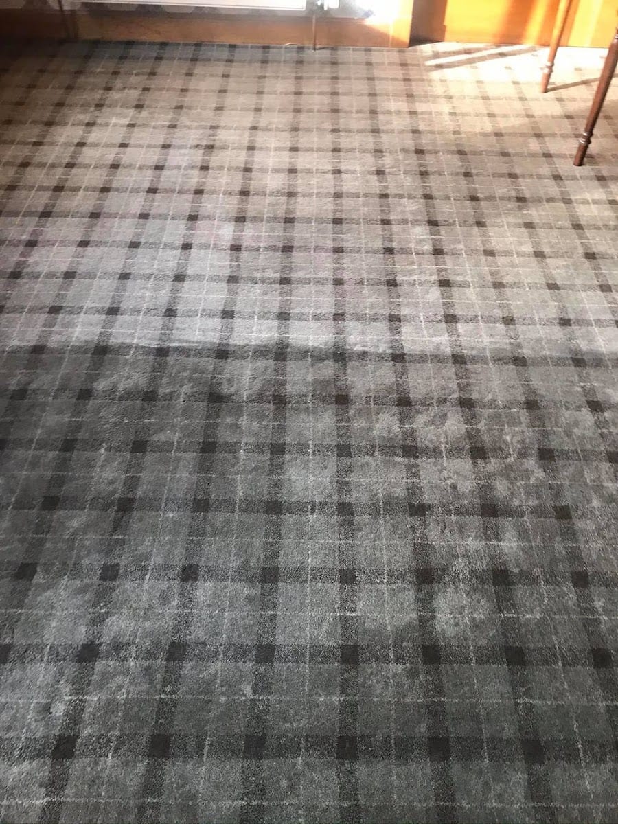 Heros carpet clean st Albans, photo 2