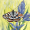 Linda Andrews Landscape and Design