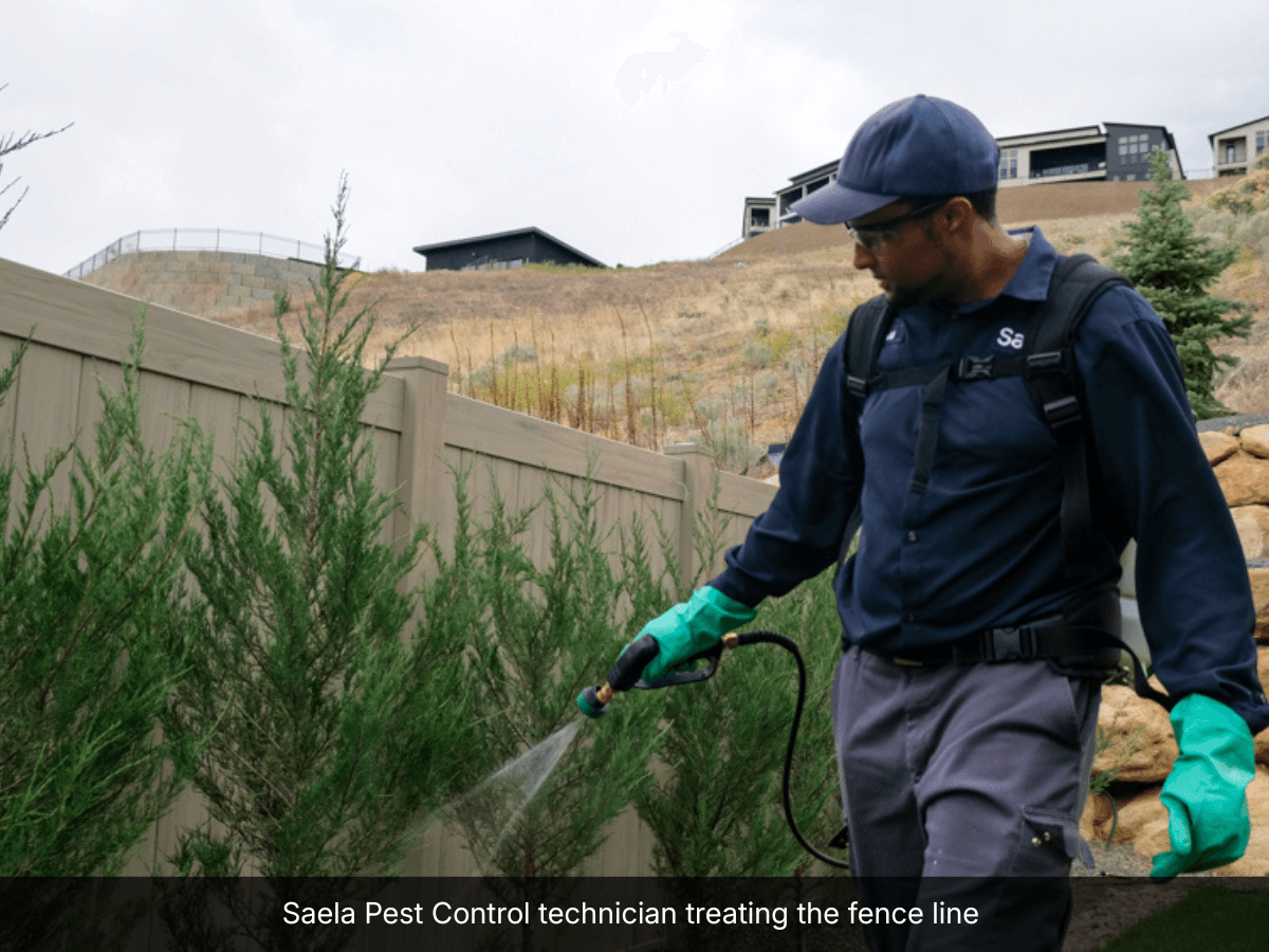 Saela Pest Control, photo 4