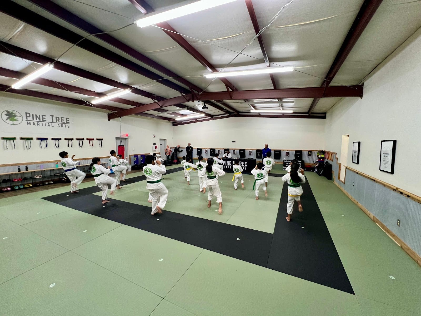 Pine Tree Martial Arts