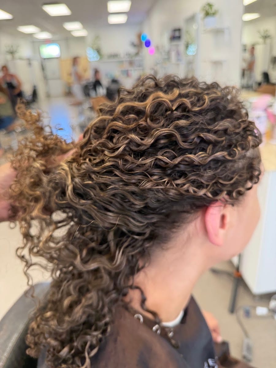 Aura Curls By Eden