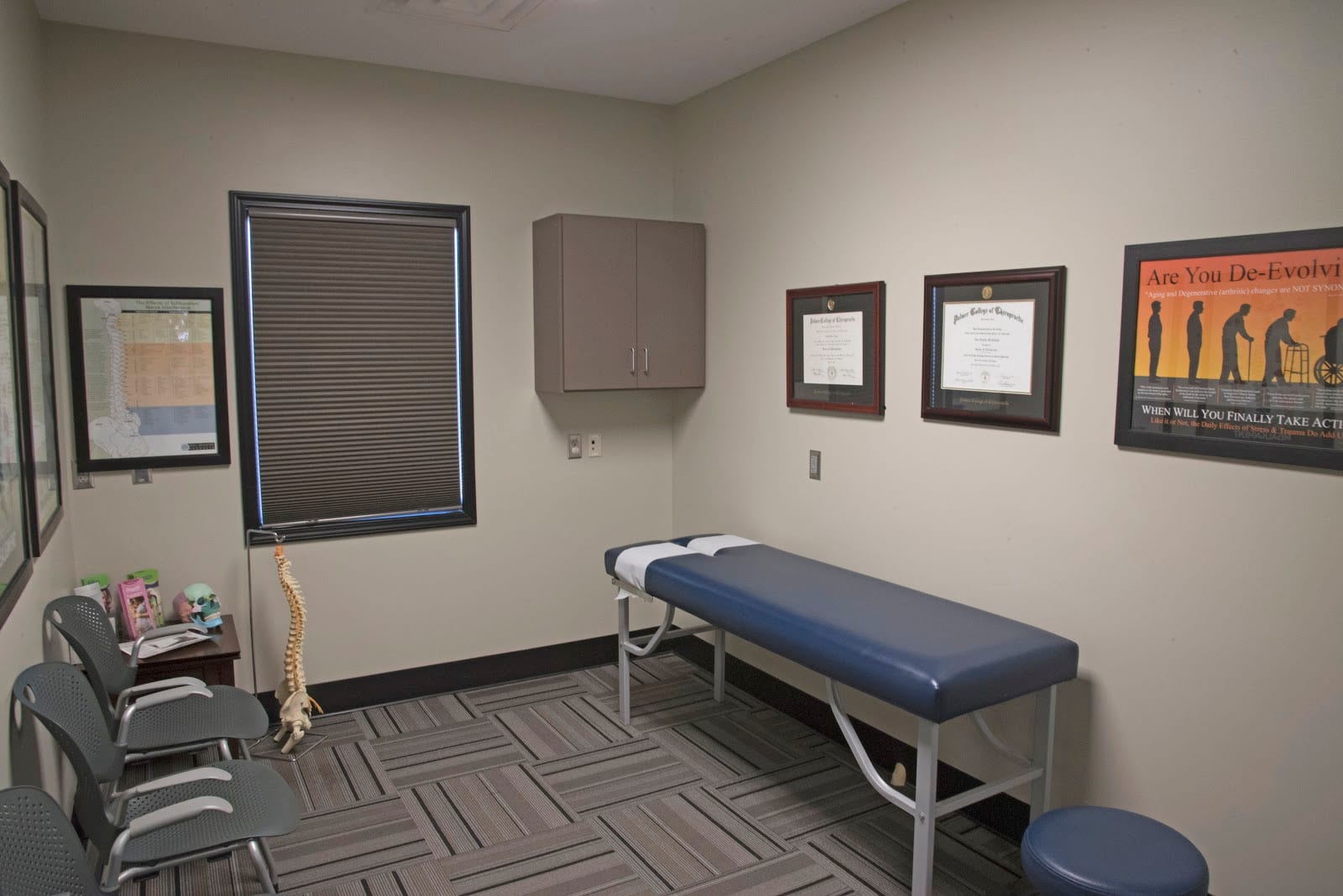 True Wellness Chiropractic, photo 2