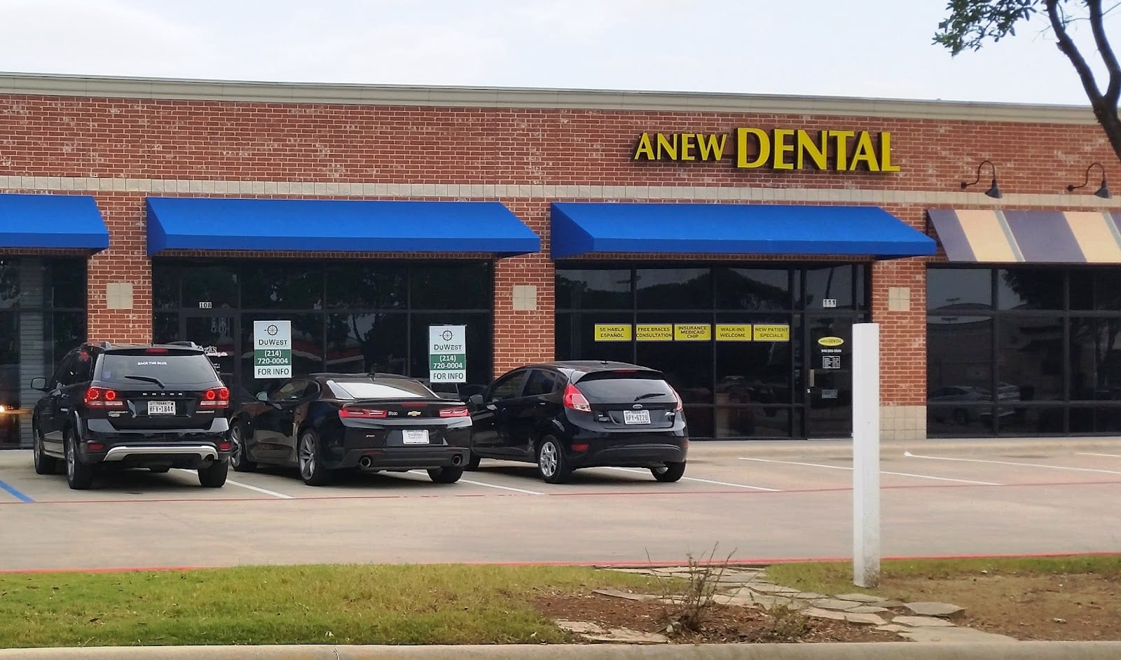 Anew Dental