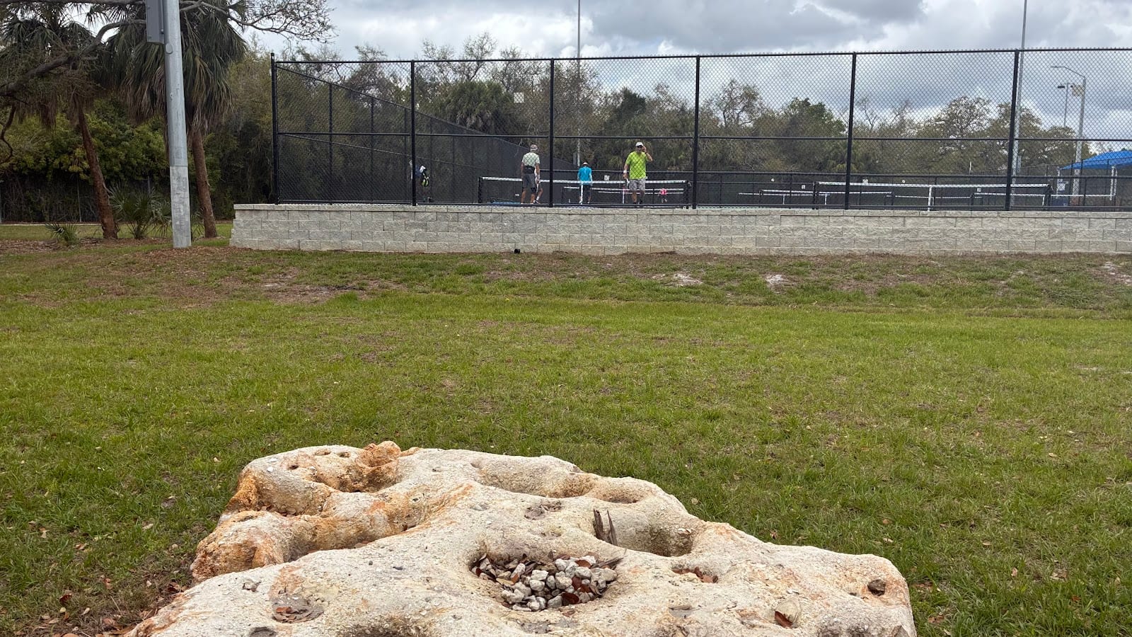 Pickleball Courts, photo 3