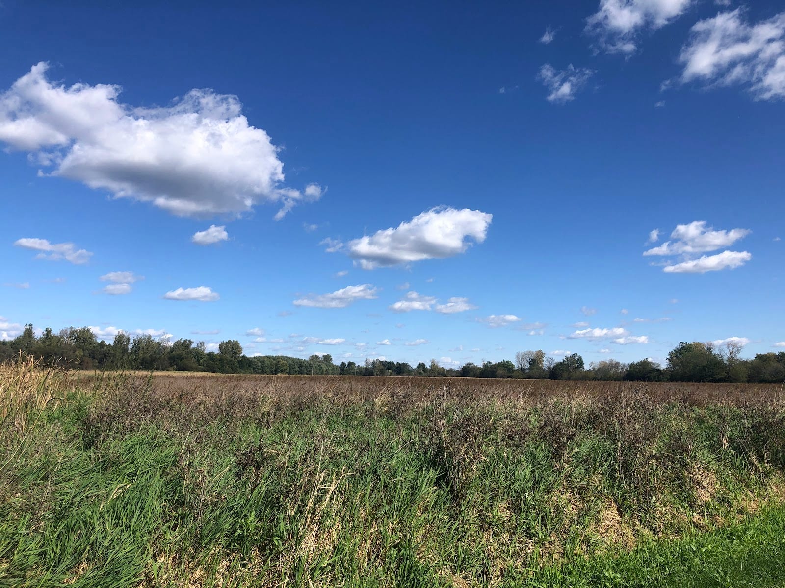 Towpath Trailhead