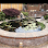 G & S Garden and Home Improvement