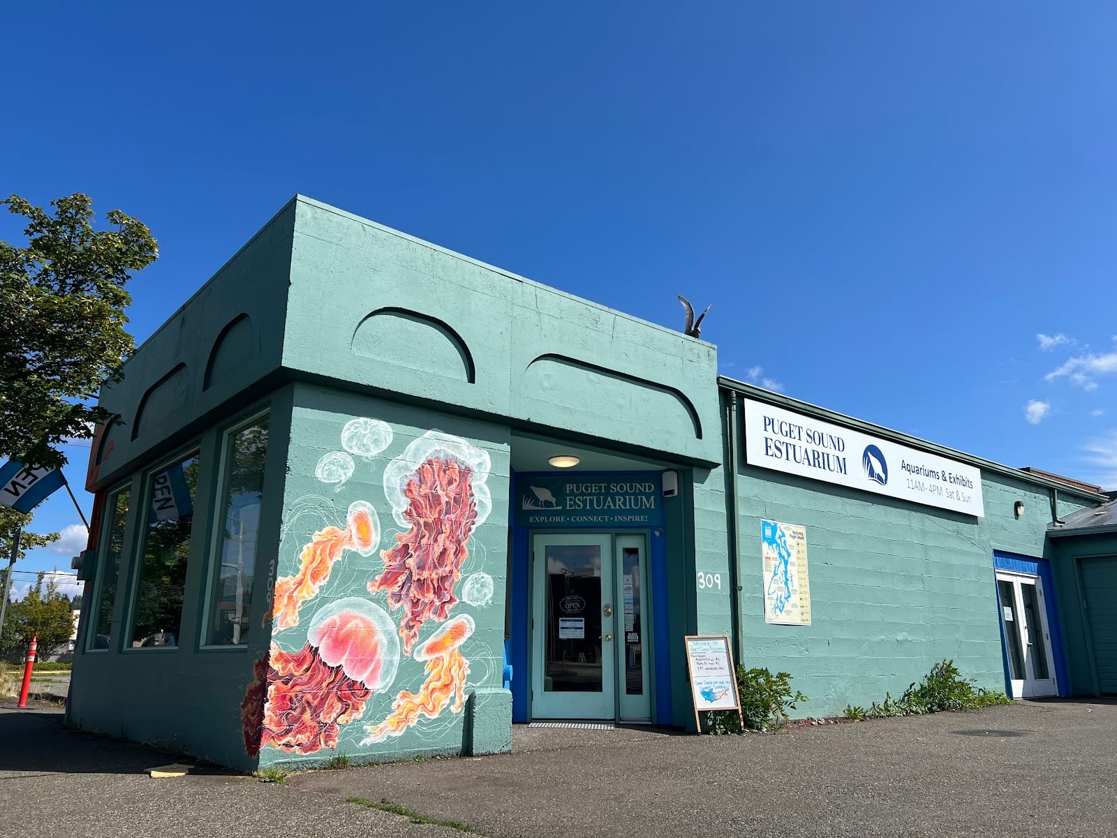 Puget Sound Estuarium, photo 4