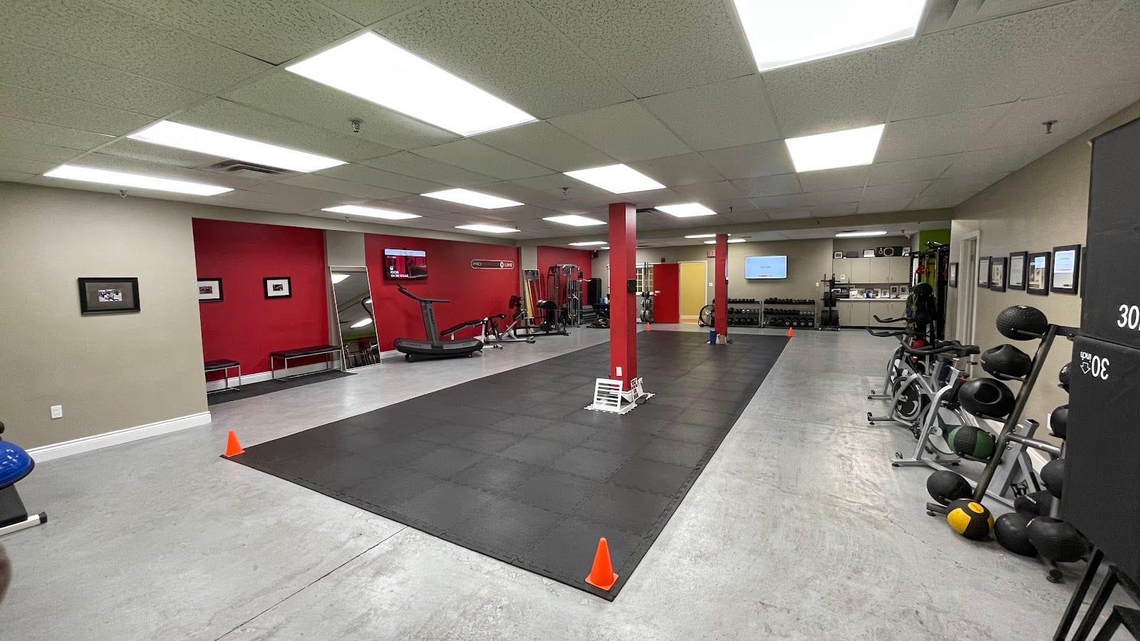 Pro Trainer Live Gym