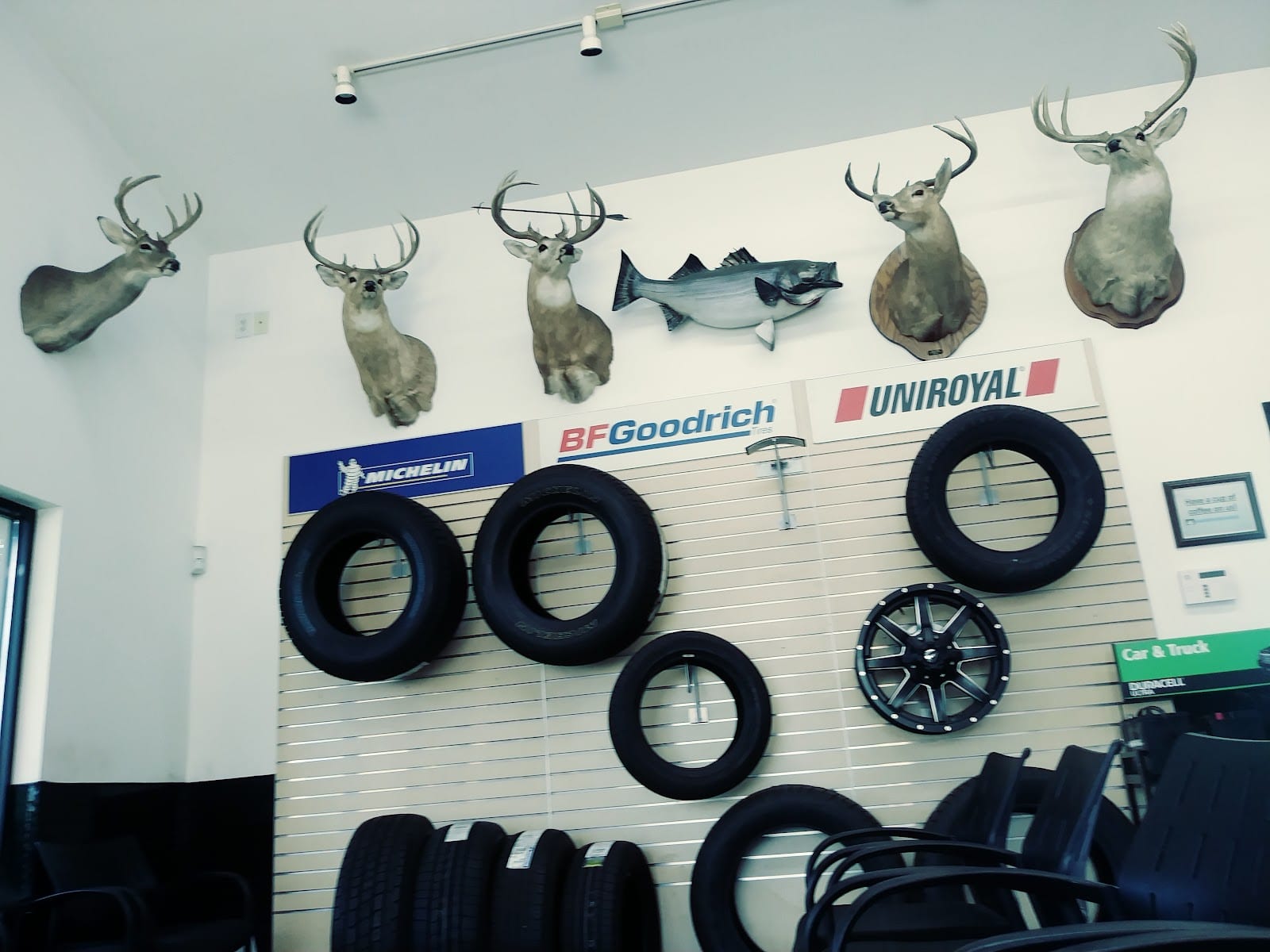 Piedmont Tire Company, photo 2