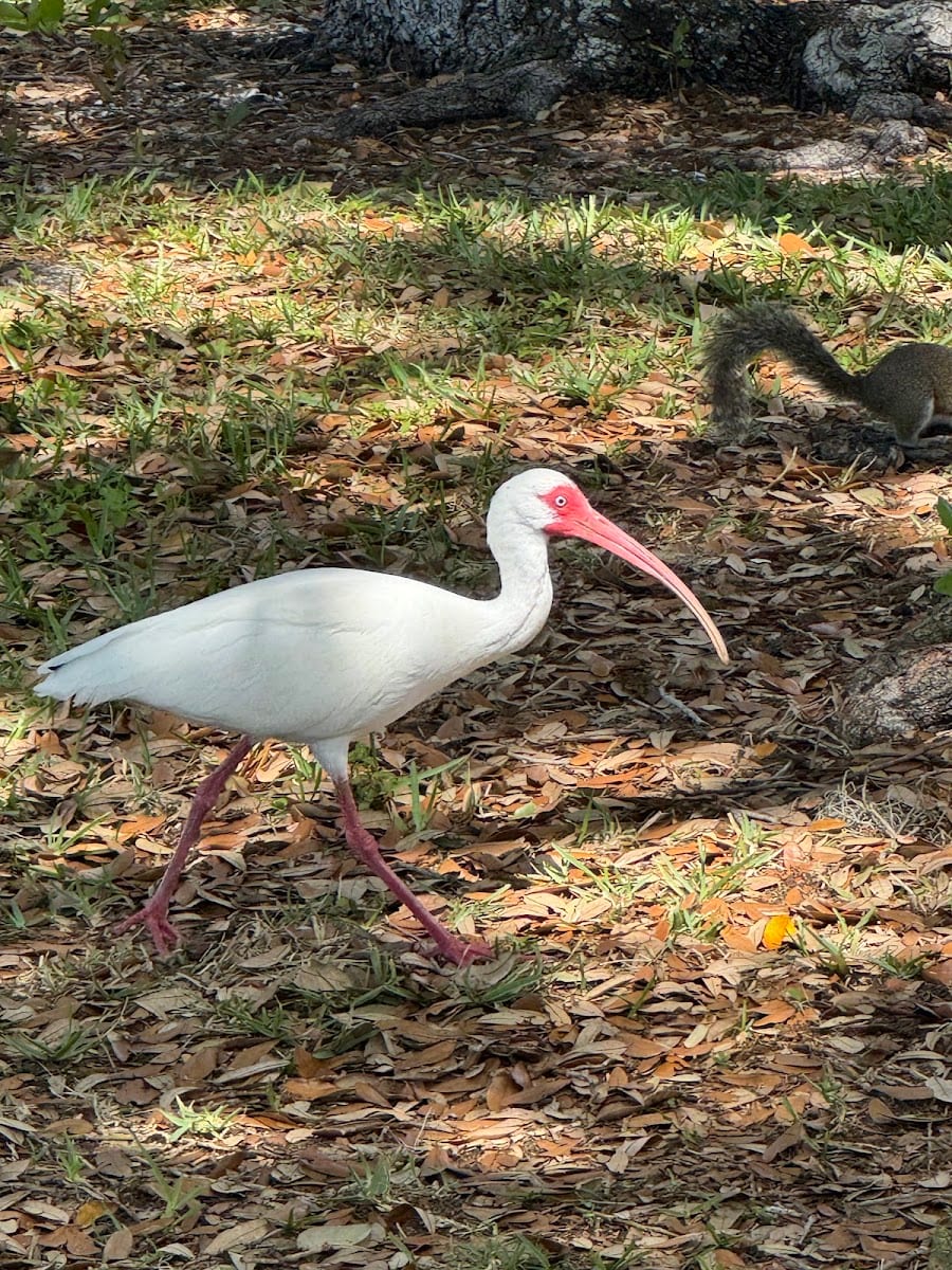 Harbour Heights Park, photo 3