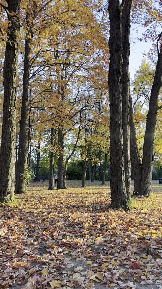 Bratty Park, photo 2