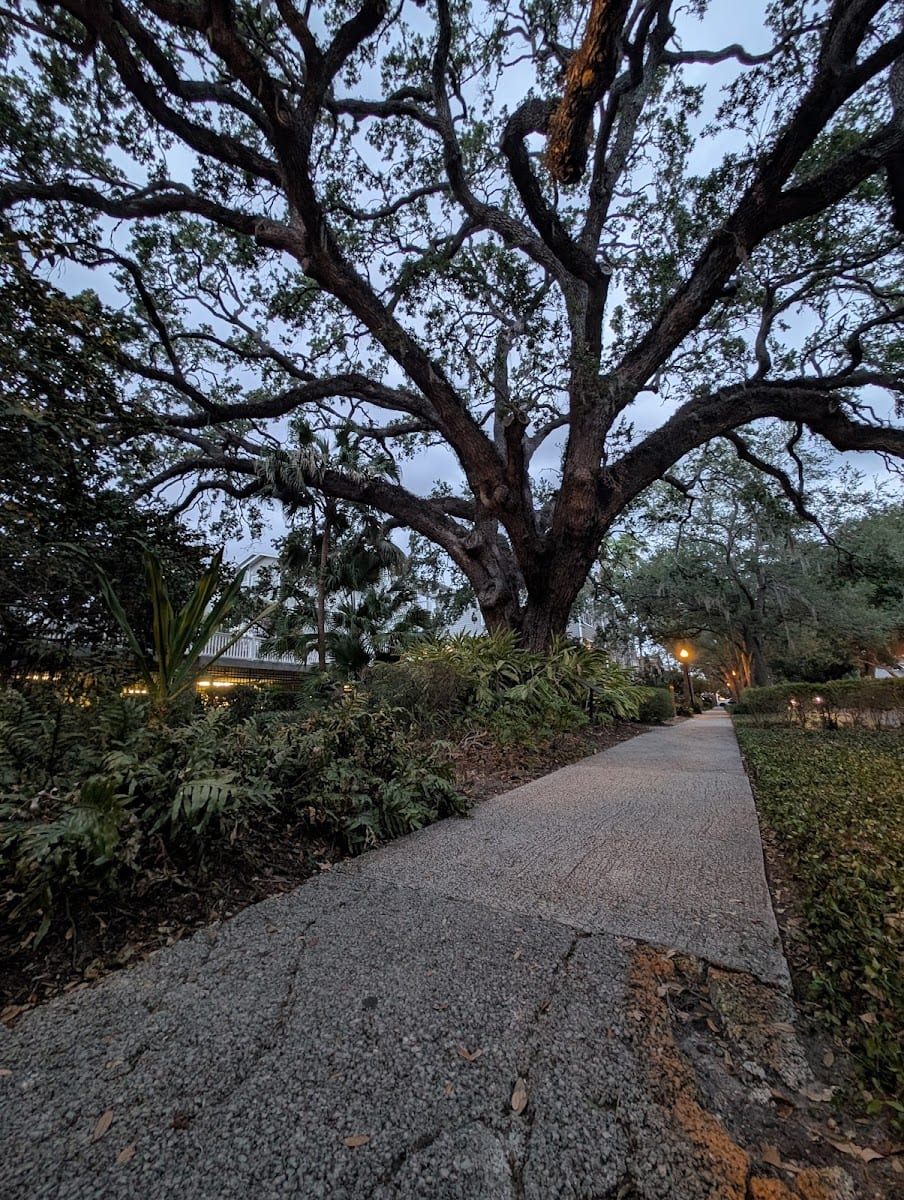 Hyde Park