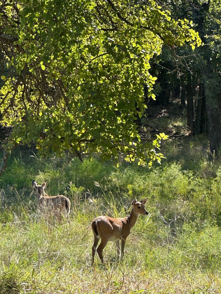 Randy Bell Scenic Trail