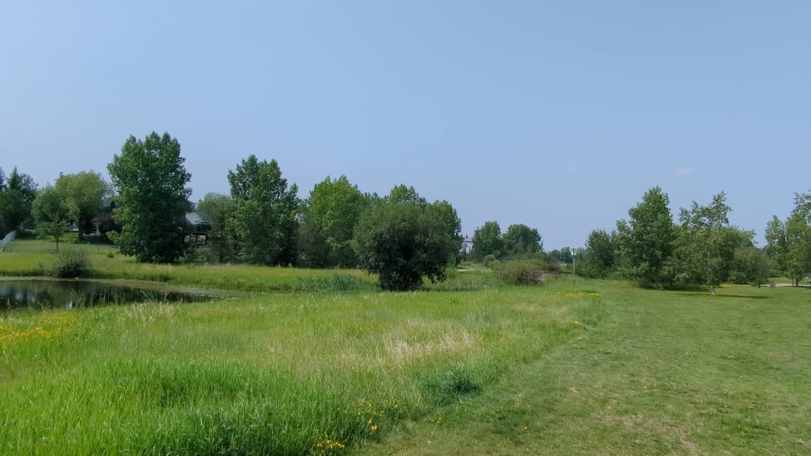 Clarkdale Meadows Pond, photo 2