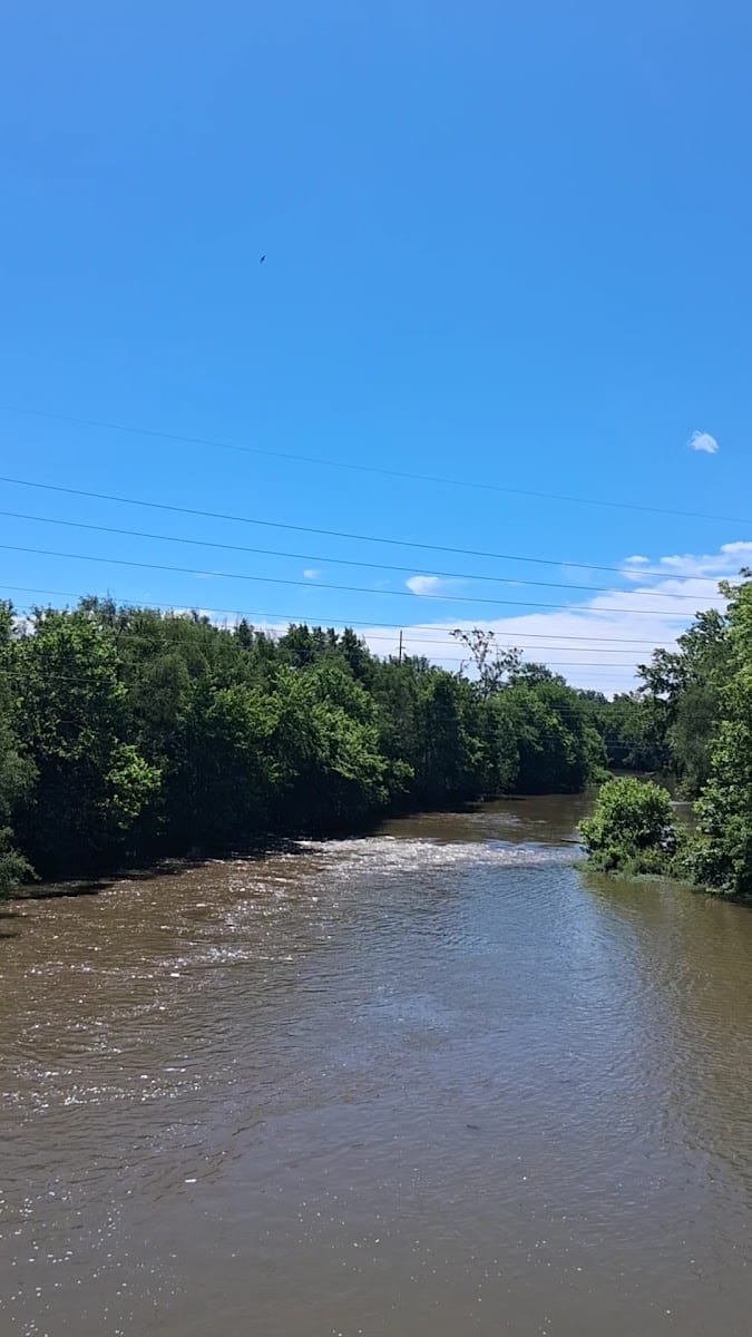 Blue Bridge Park, photo 2