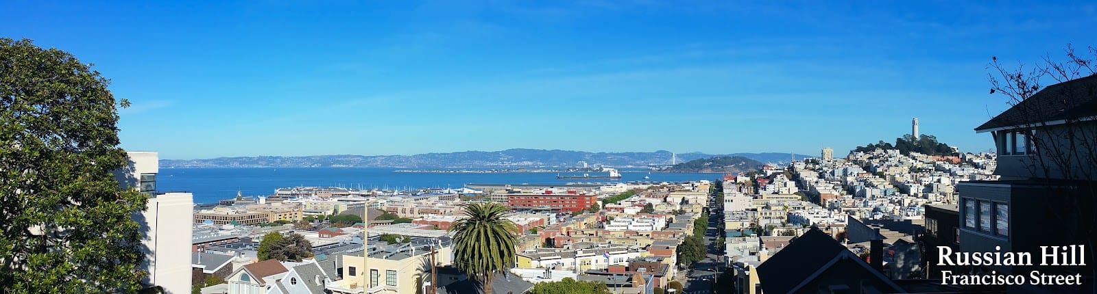 Alex Kaufman - San Francisco Real Estate Broker, photo 4