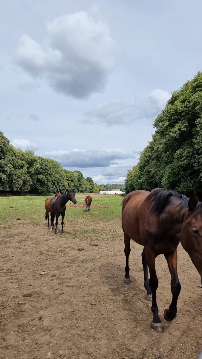 Brocket Hall circular walk