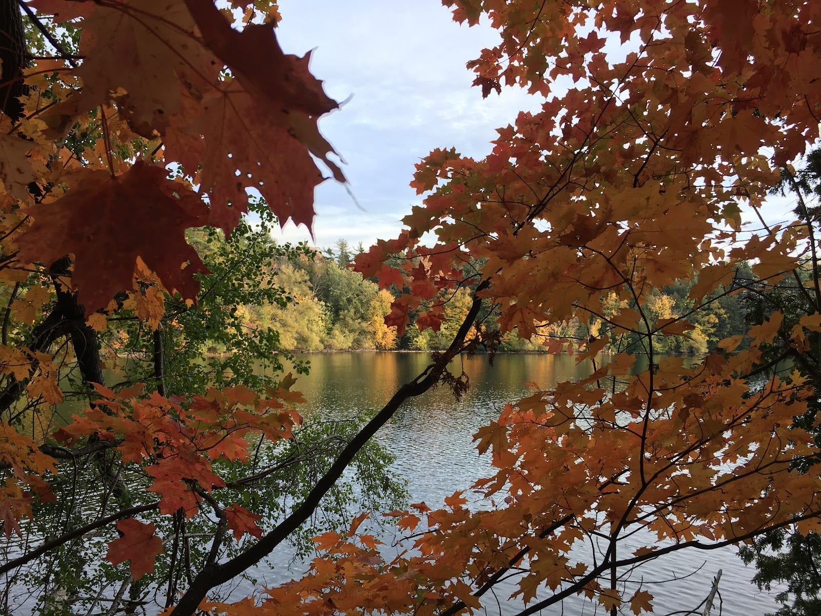 Ozark Park, photo 3