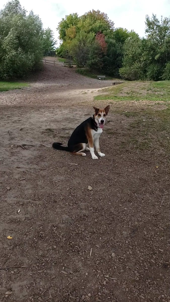 Tower Hill Dog Park, photo 2