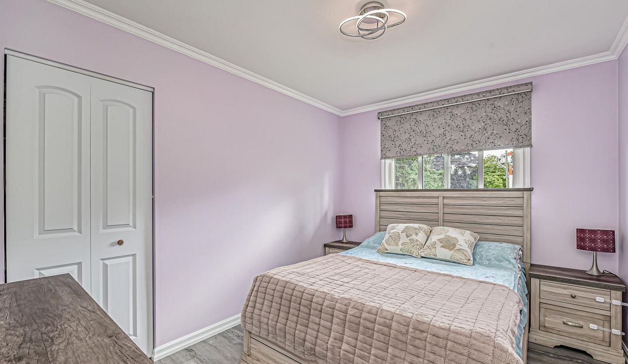 New Look Renos, Painting and Handyman Services, photo 3