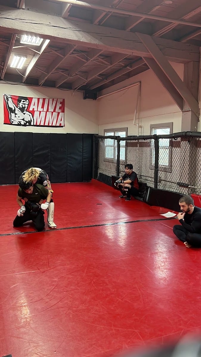 Alive MMA