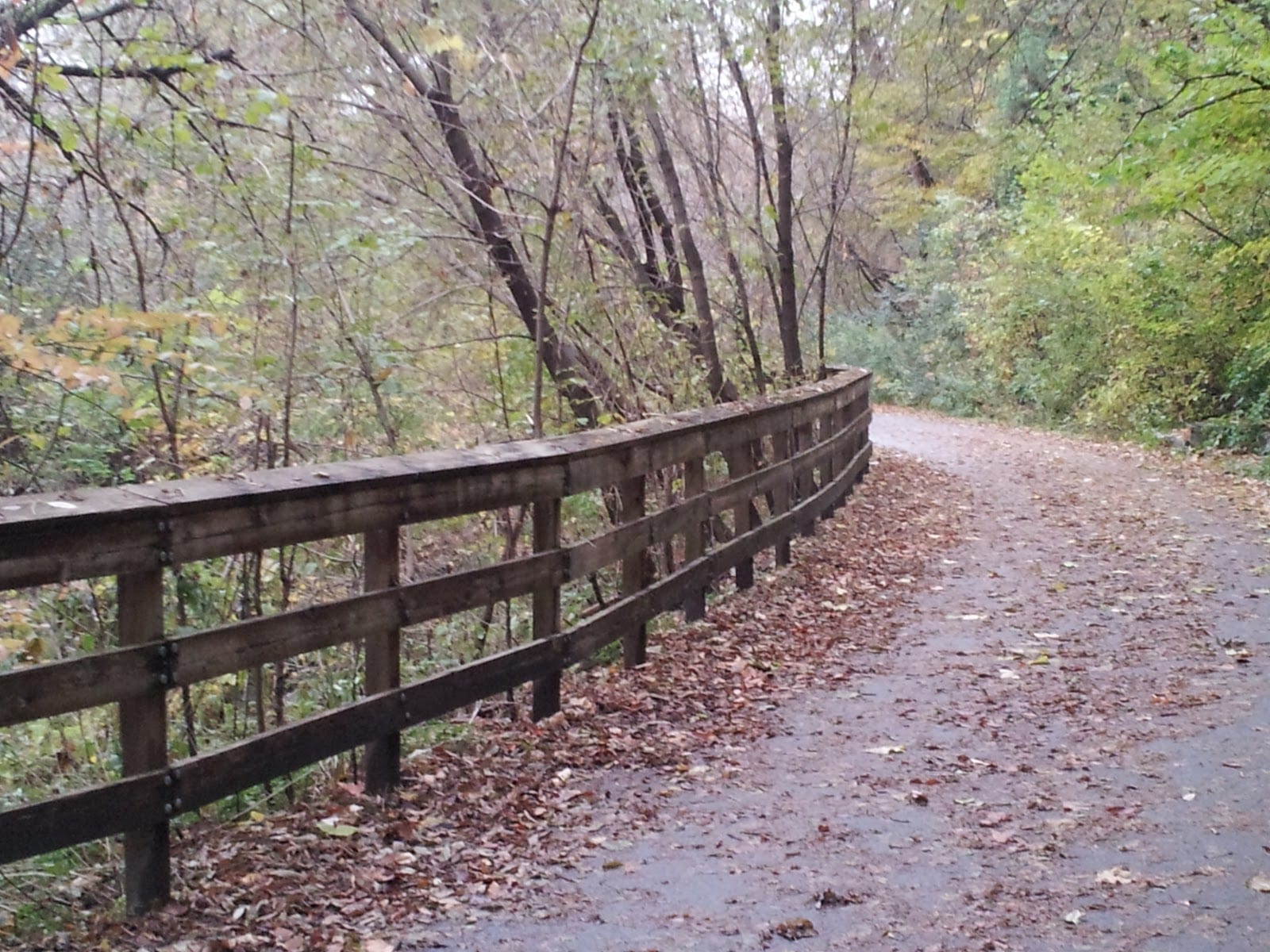 Bestview Hiking Trails