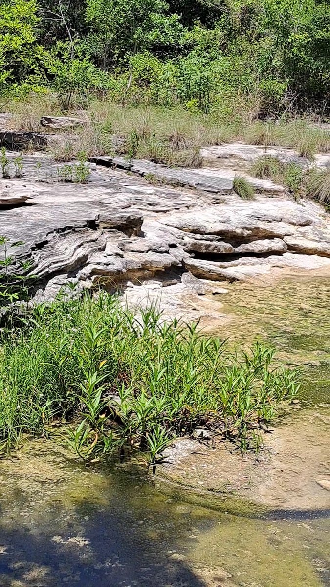 East Mills Creek Picnic Area, photo 2