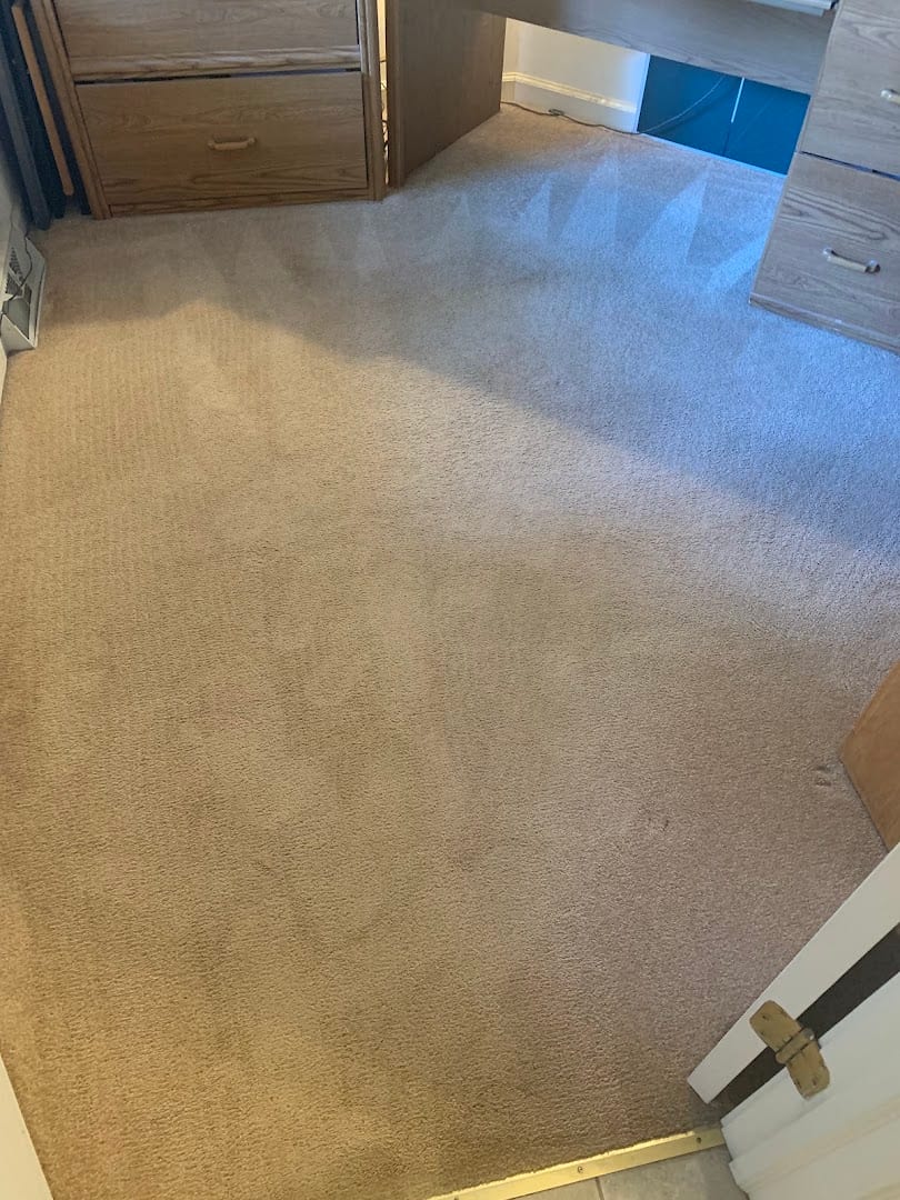 Lovelea's Carpet Care, photo 3