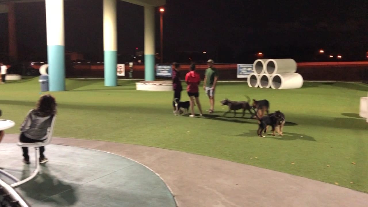Deputy Kotfila Memorial Dog Park, photo 2