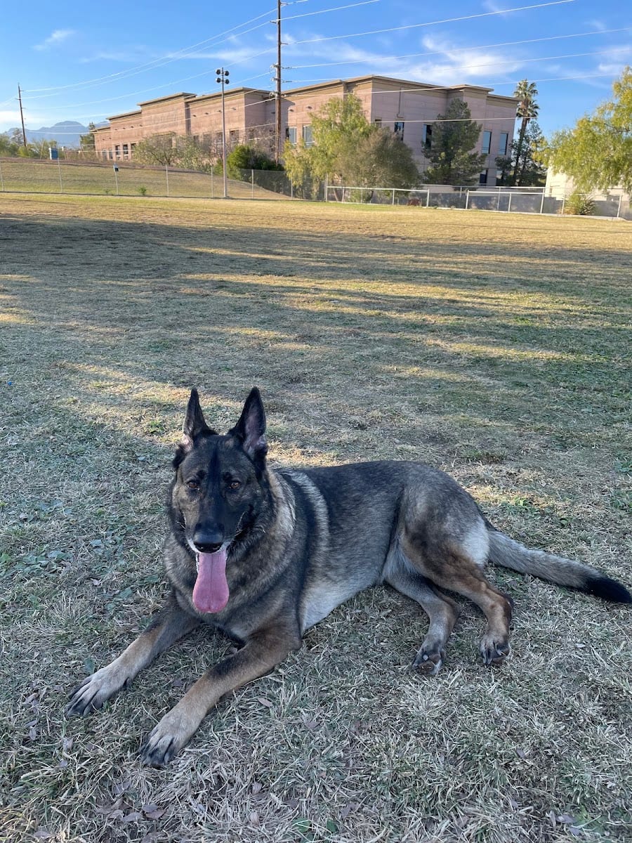 Dog park, photo 3