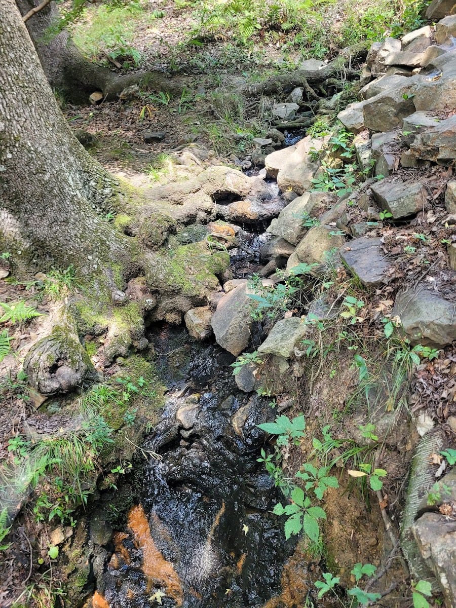 Rock Garden, photo 3