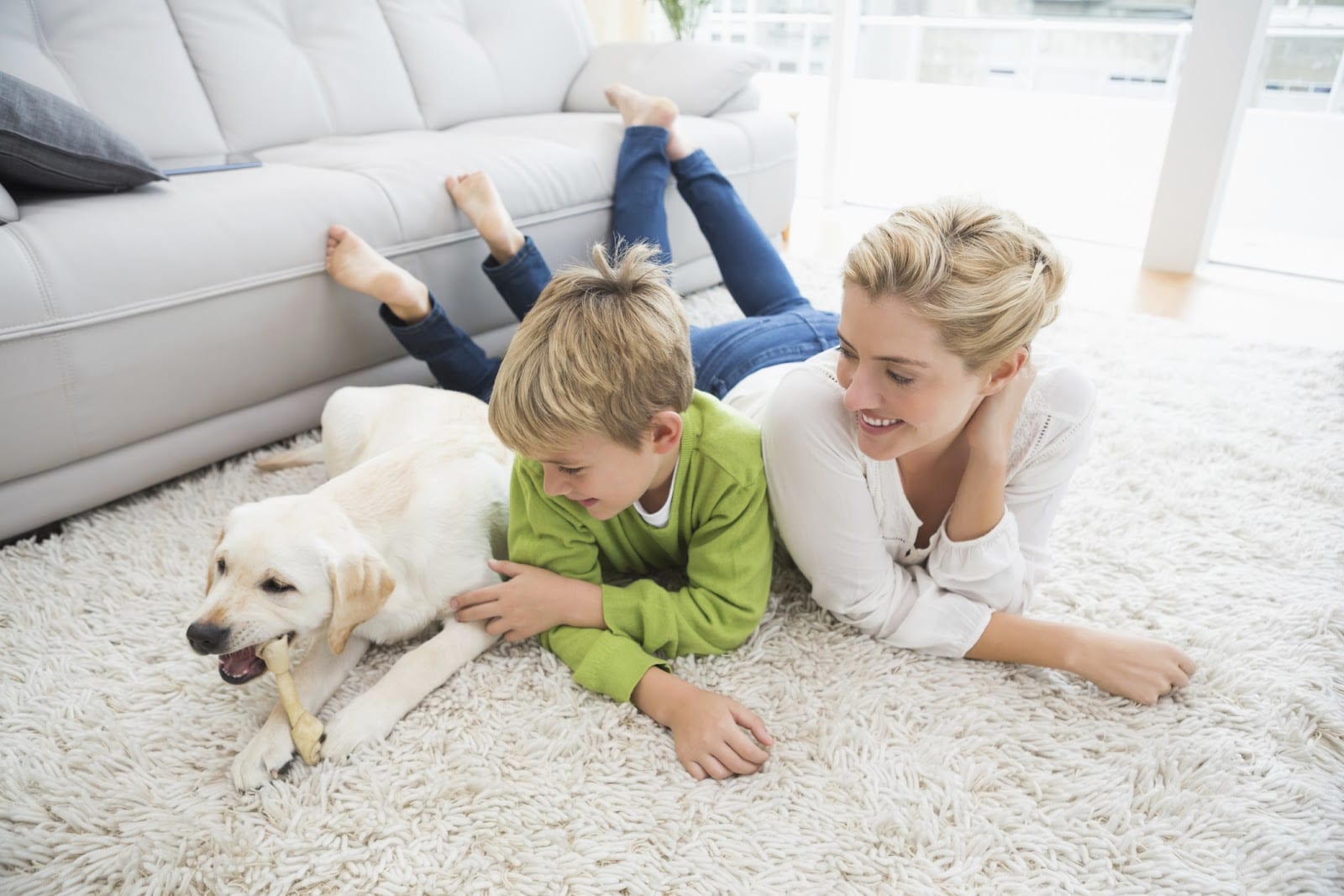 Cleaning Services