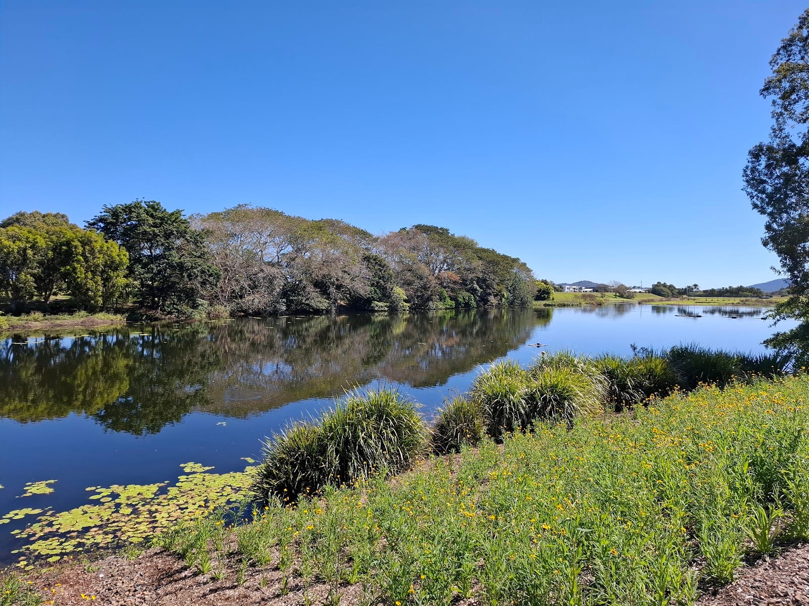 Blacks Beach Constructed Wetlands