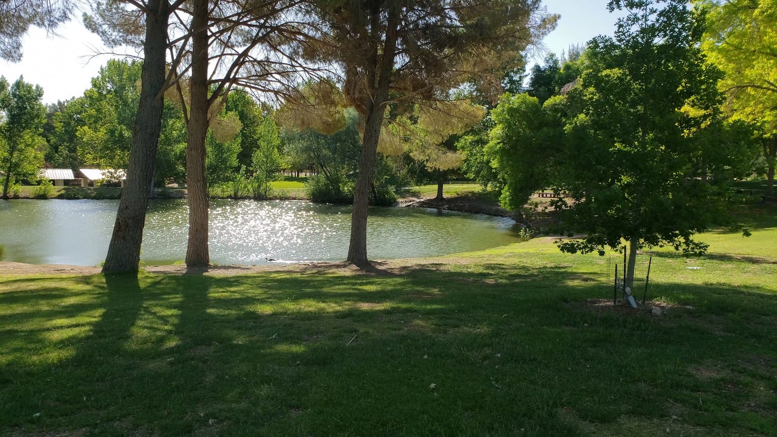 Floyd Lamb Park, photo 2