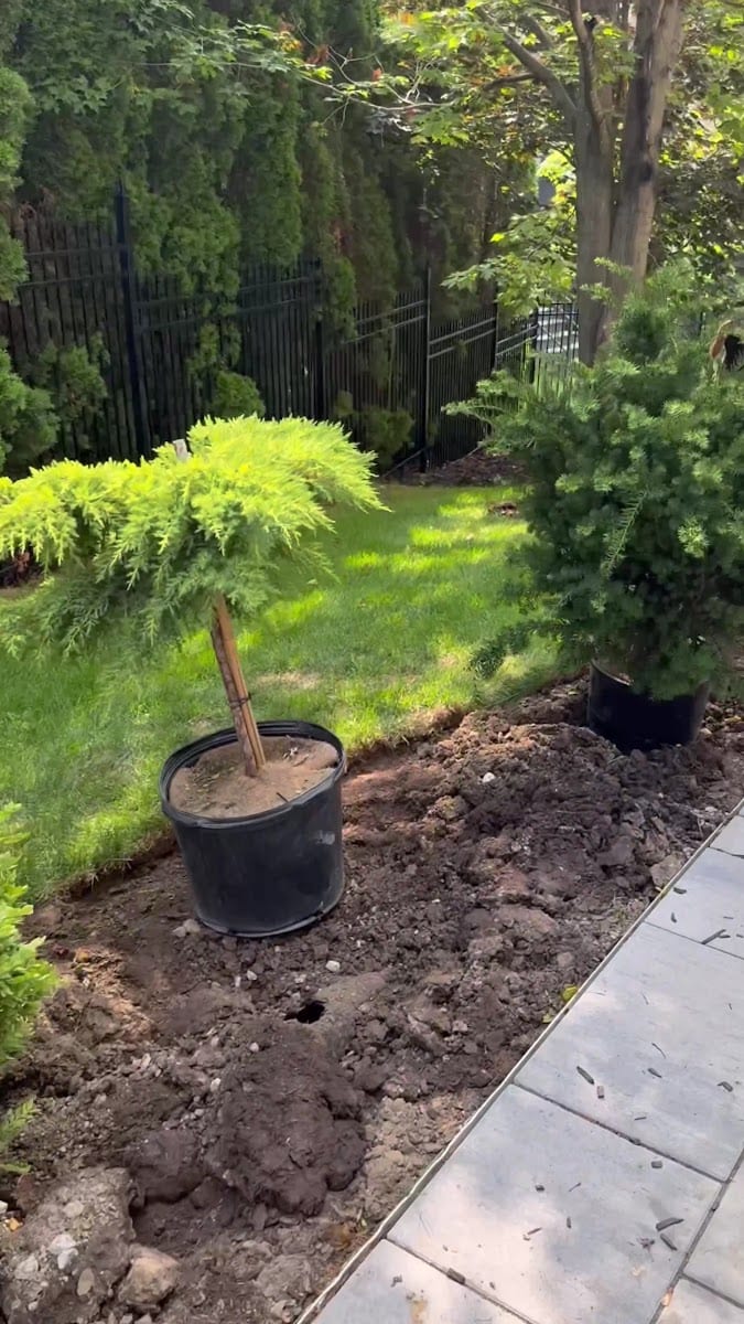 Dw Landscaping, photo 3