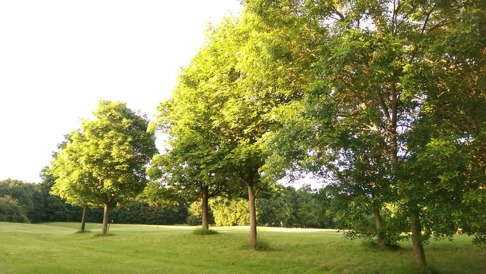 Eaton Park Pitch and Putt Golf Course, photo 3