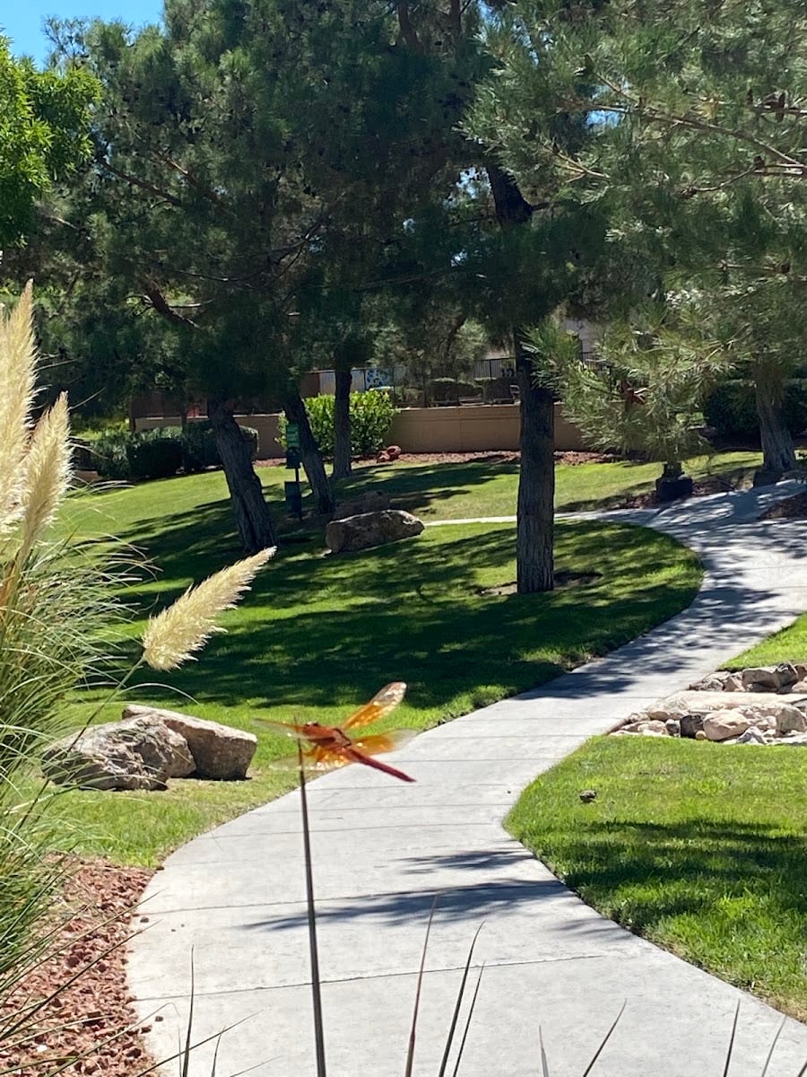 Peccole Ranch Community Playground