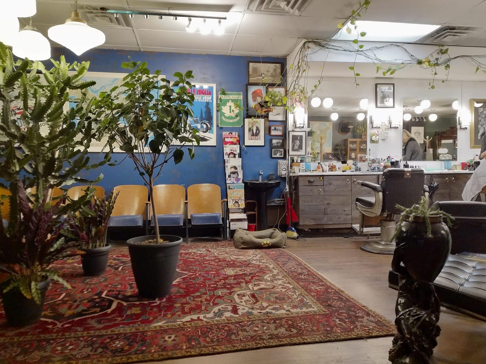 Blood & Bandages Barbershop