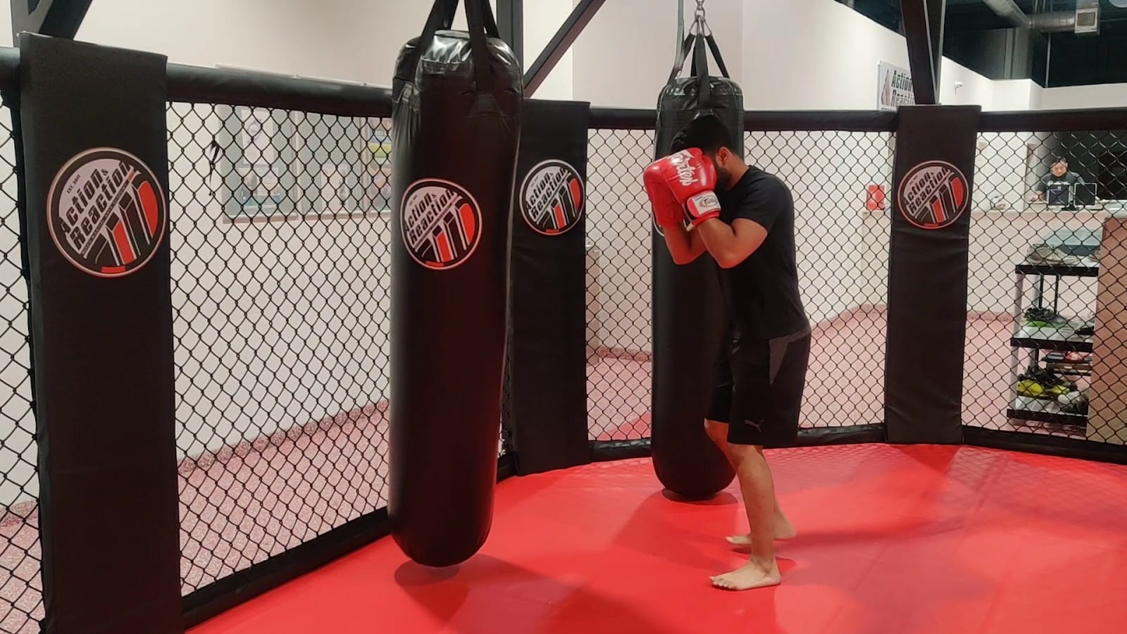 Action & Reaction MMA Inc.