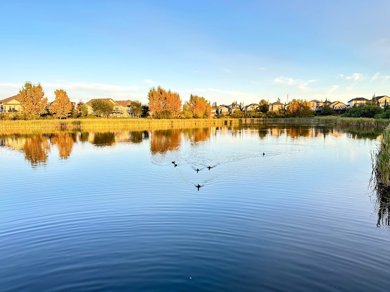Cascade Park, photo 3