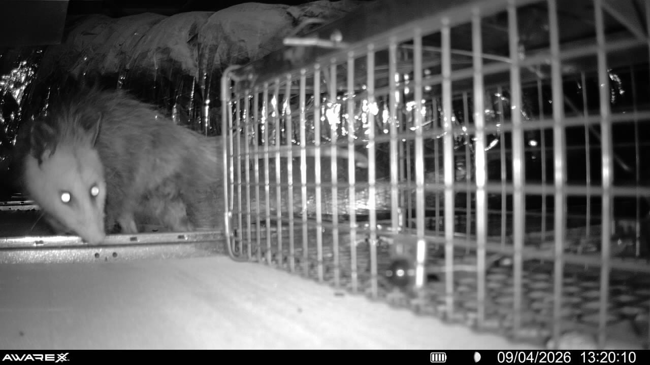 Critter Stop, photo 3