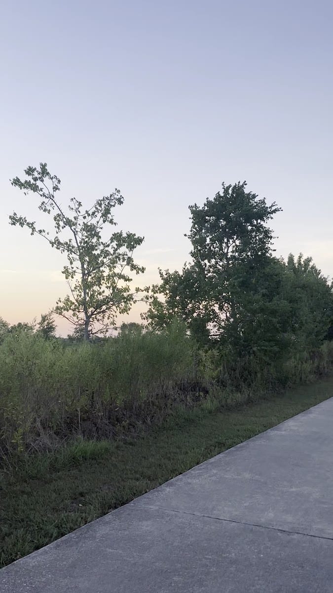 Gulf Terrace Hike and Bike Trail, photo 2