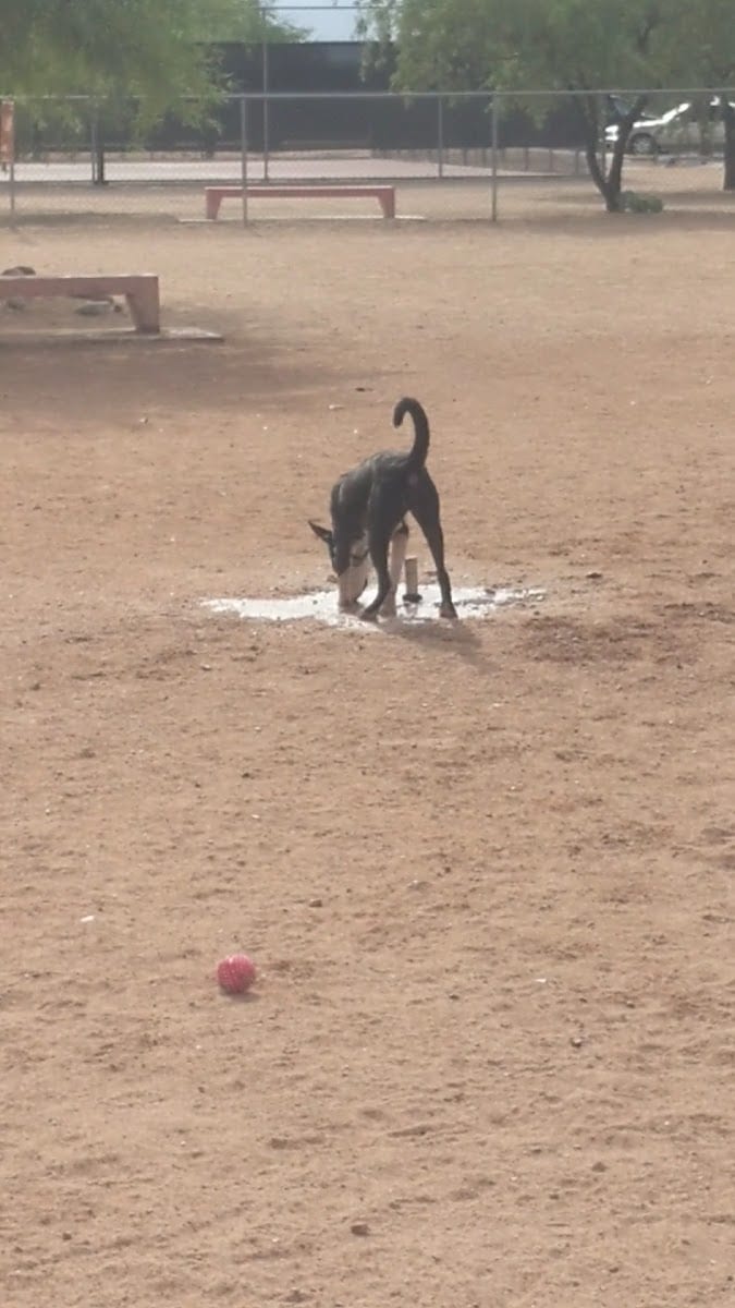 Udall Dog Park, photo 2