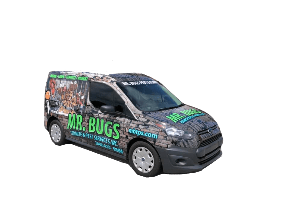 Mr. Bugs Termite & Pest Services Inc., photo 3