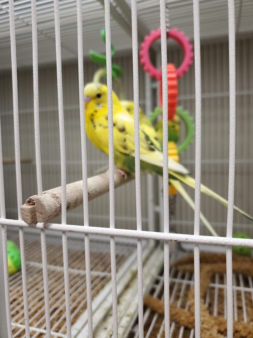 Pet Supplies Plus Battle Creek, photo 4