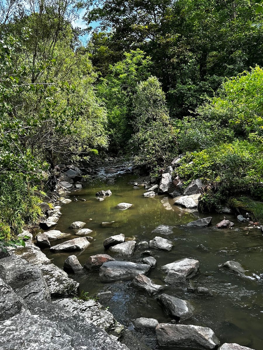 Wilket Creek Recreational Trail, photo 3