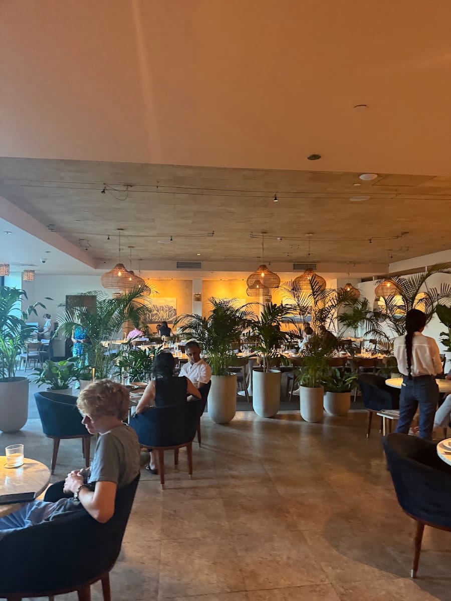 Arden Waikiki