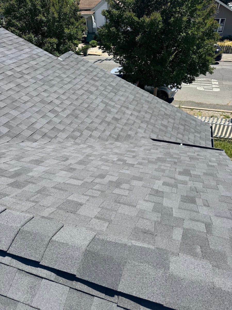 Roof Inc, photo 4