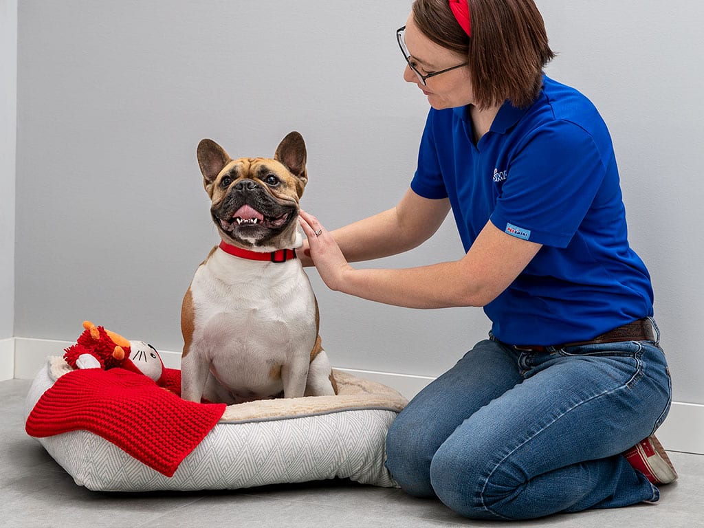 PetSmart - Littleton (Highlands Ranch), Store 0229, photo 3